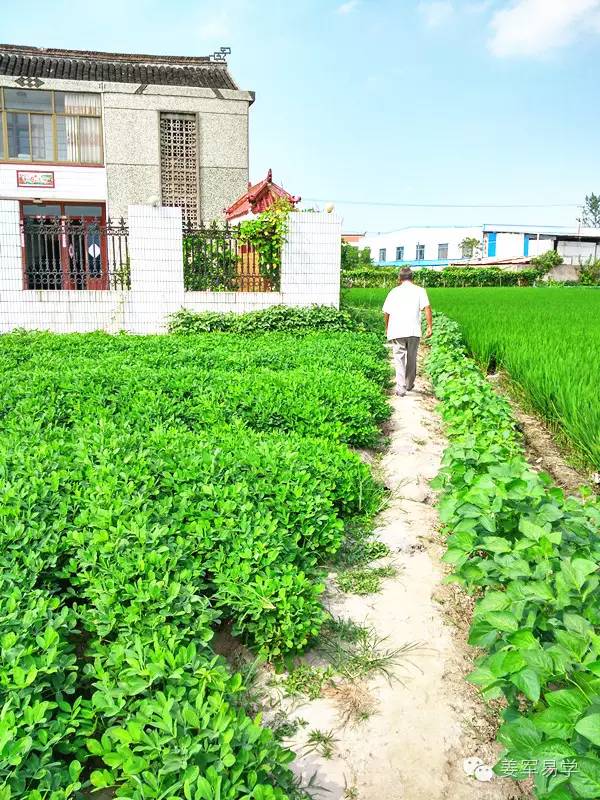 南通风水师姜军，勘察通州民宅出精神病的风水环境